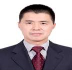 陈永红